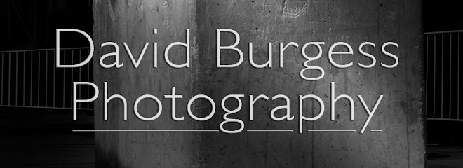 David Burgess Photography