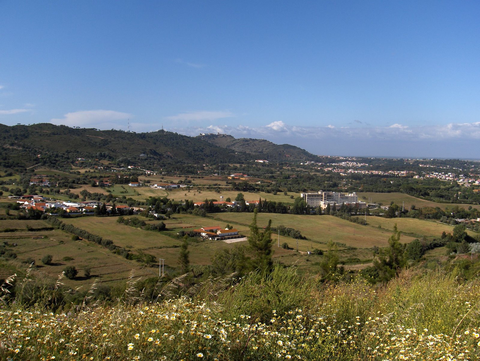 [HPIM3124.JPG]