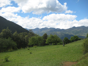 Countryside around Pucón