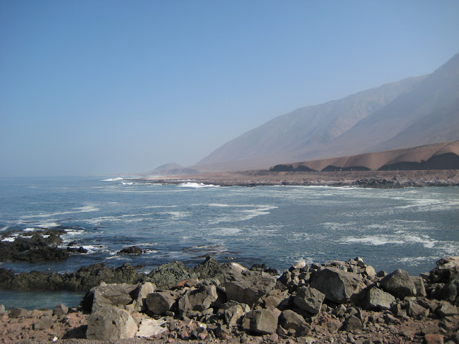 More Chilean Coast