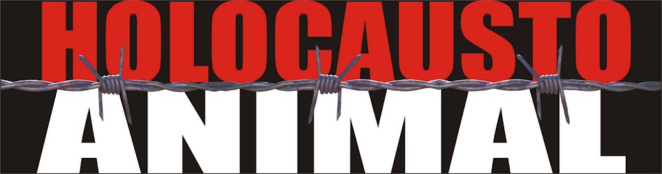 HOLOCAUSTO ANIMAL