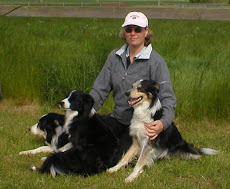 Jackie and her 3 dogs