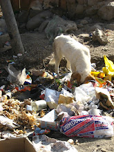 smelly streetcorners...