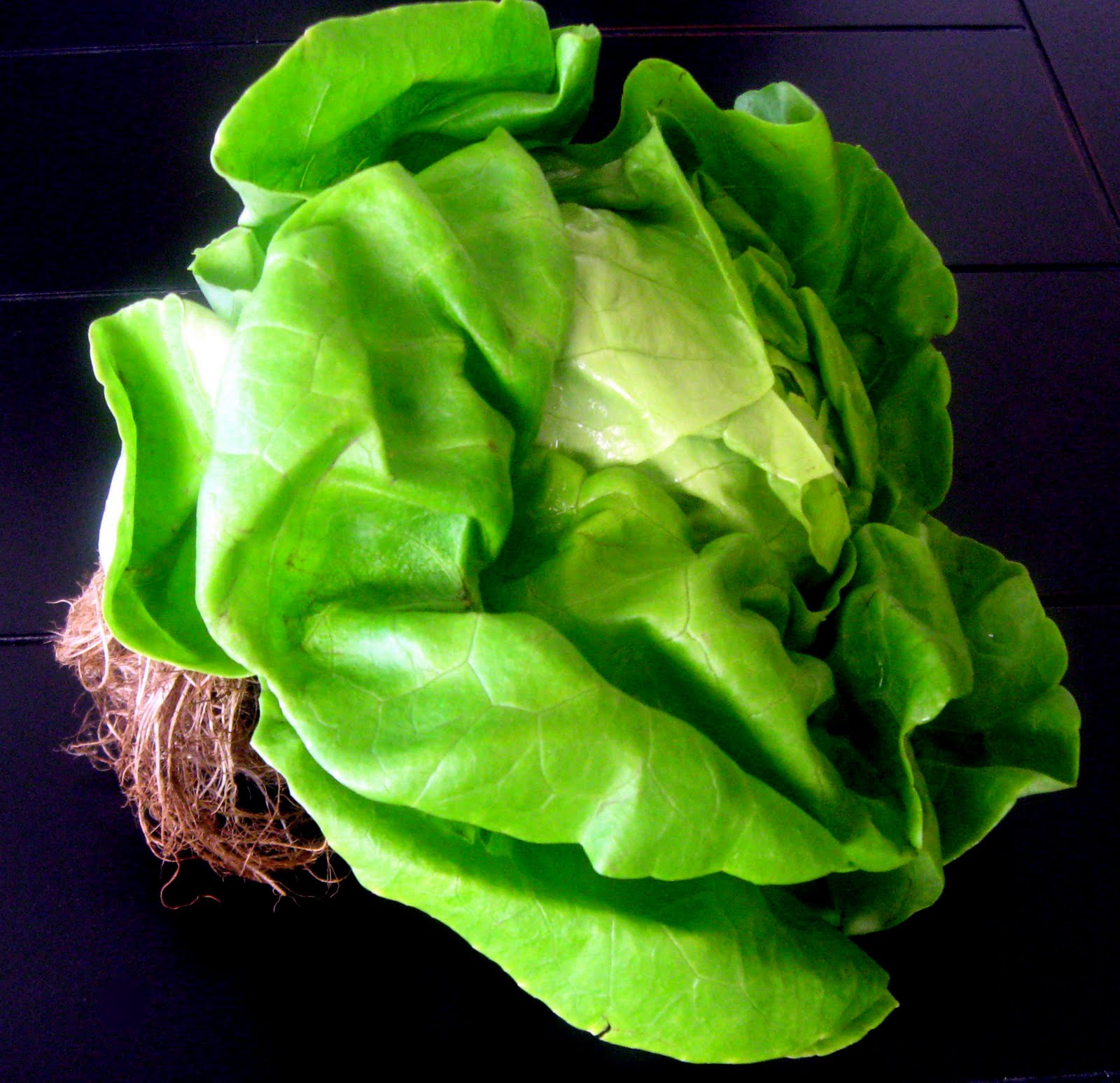 The Health Seekers Kitchen September 2010