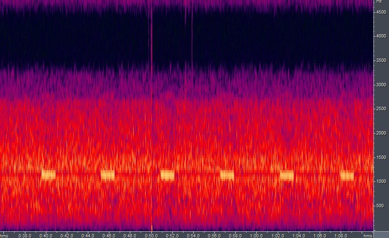 [RS15specgram.jpg]