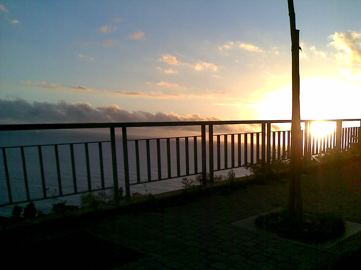 [02012009.jpg]