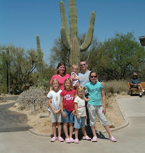 Saguaro National Park, Arizona