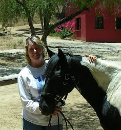 Fantastic Horse - Cuba