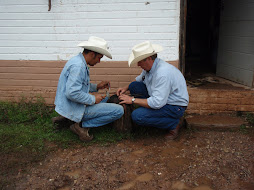 Peter setting up the tack