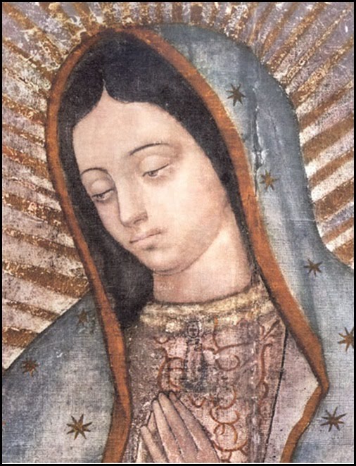 [Nuestra_Se_ora_de_Guadalupe.jpg]
