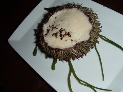 [SeaUrchinCappucino.jpg]