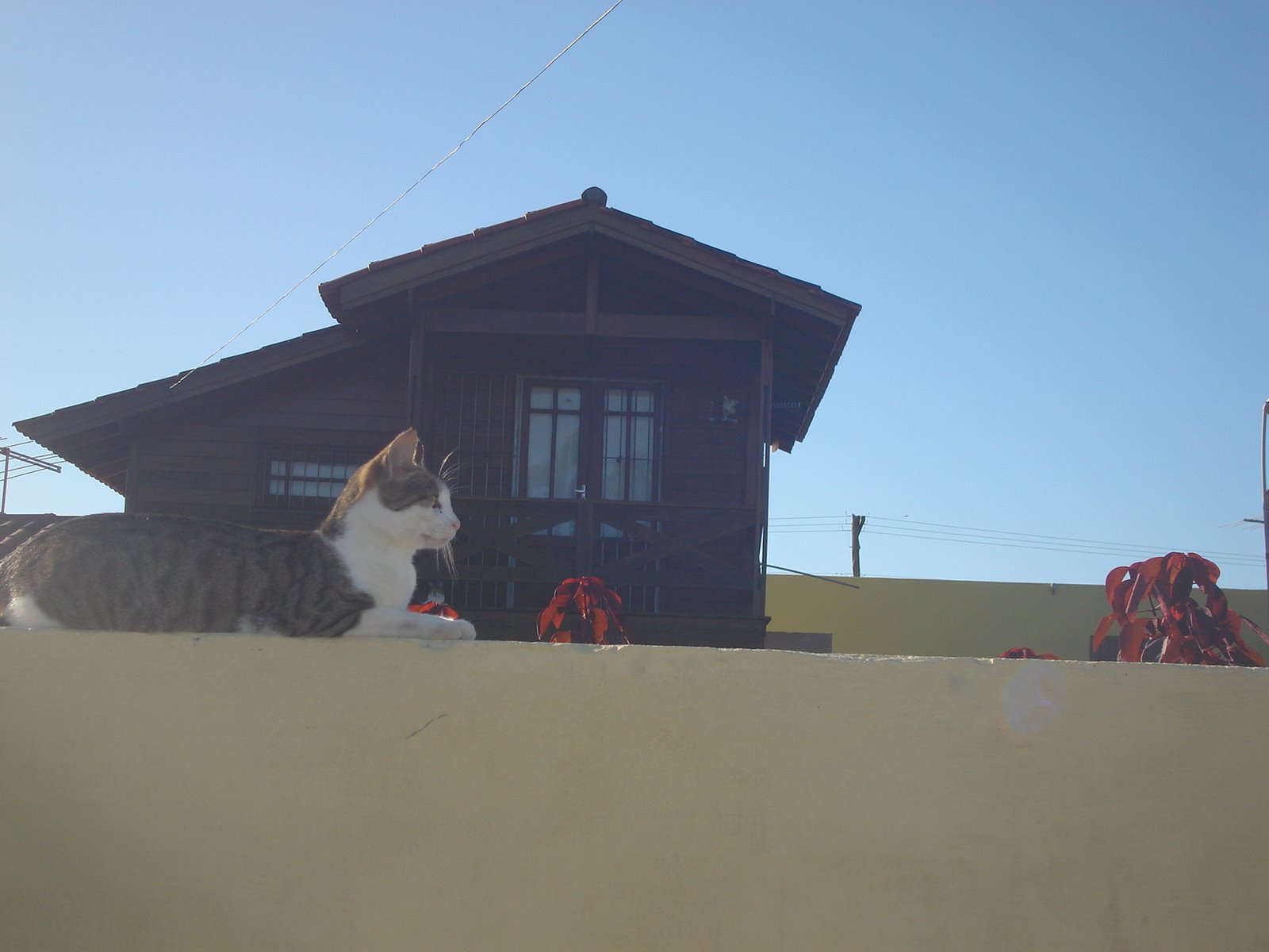 [DSC00044.JPG]