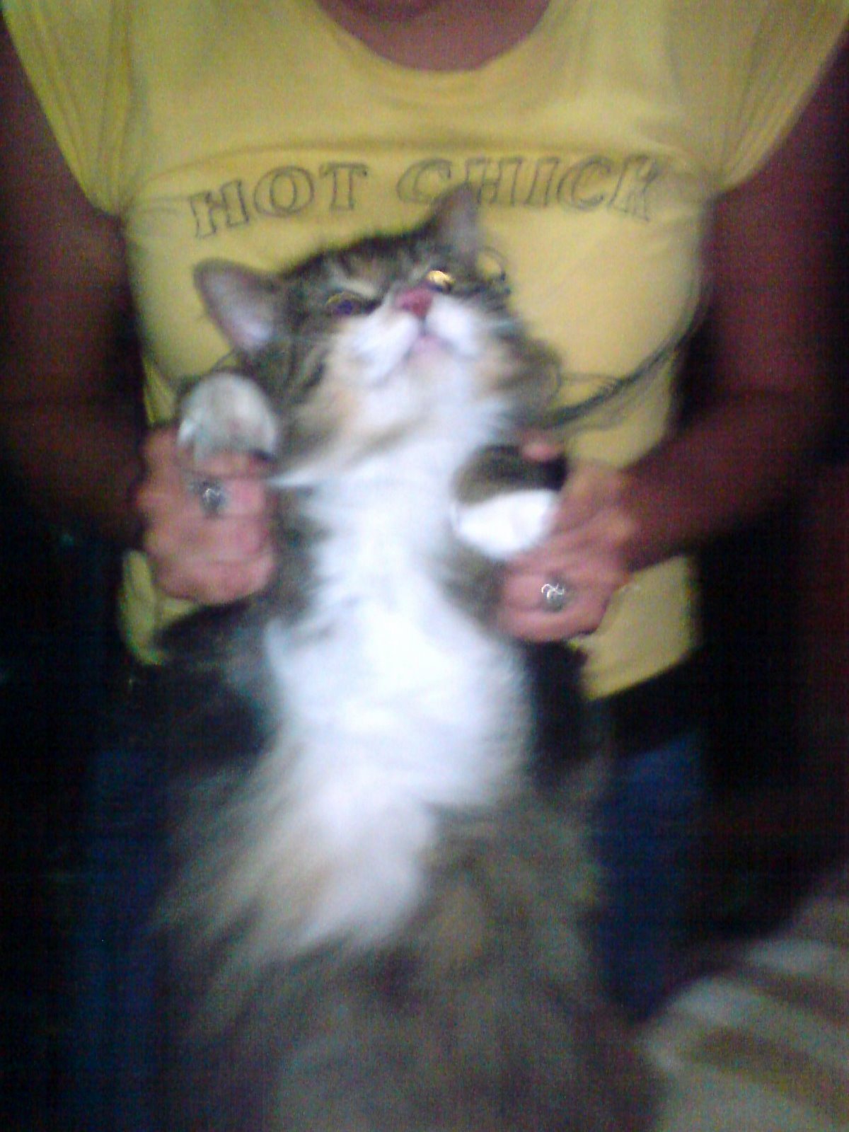 [DSC00085.JPG]