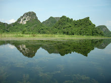 Perfume Pagoda