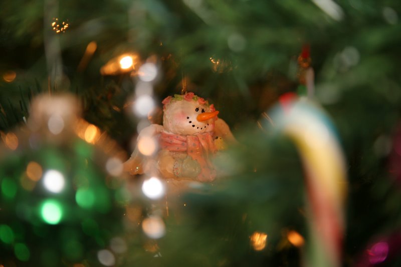 [XMas-2.jpg]