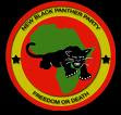New Black Panthers Party (NBPP) In Atlanta, GA. USA