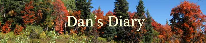 Dan’s Diary