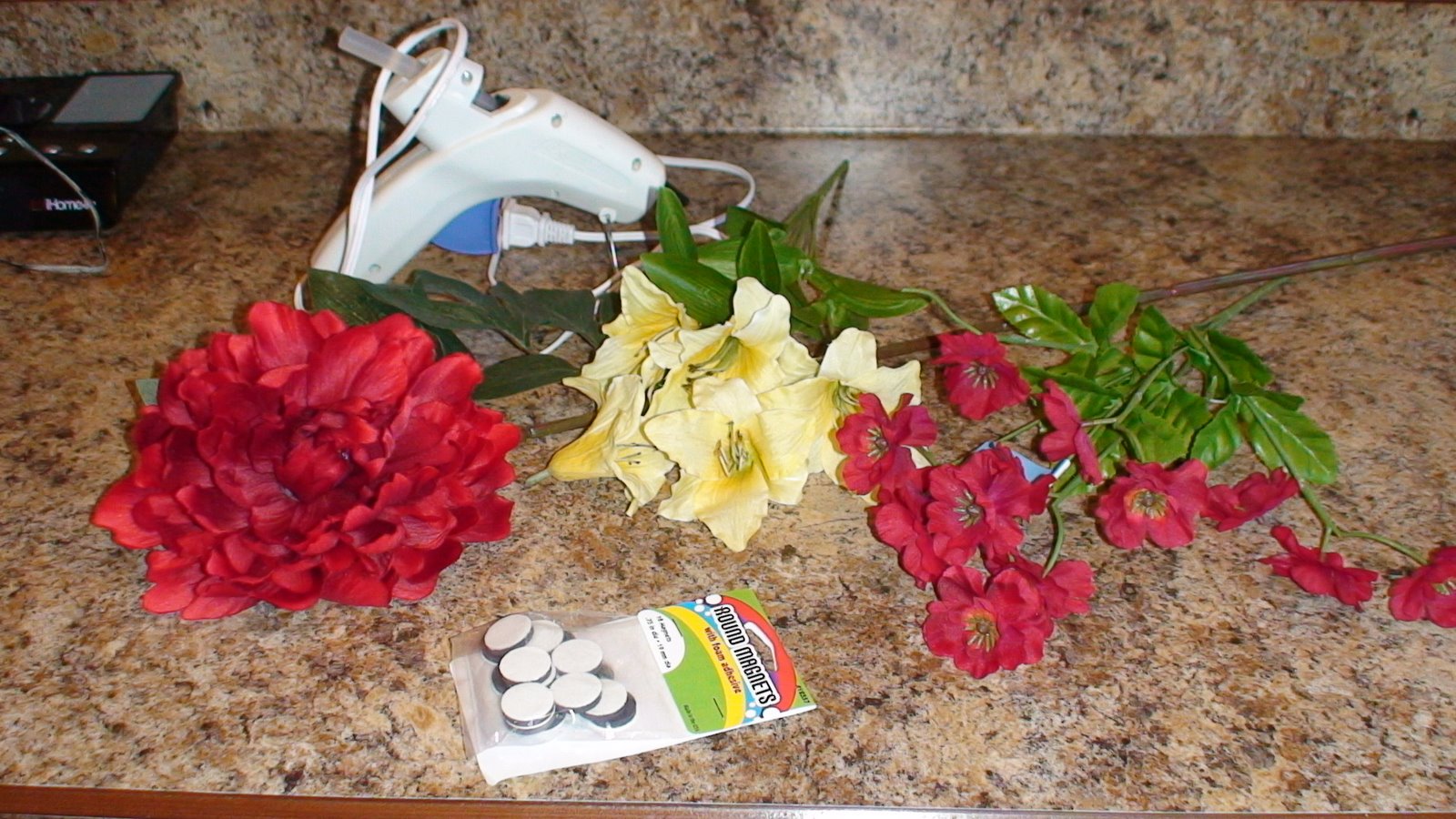 [DSC01633.JPG]
