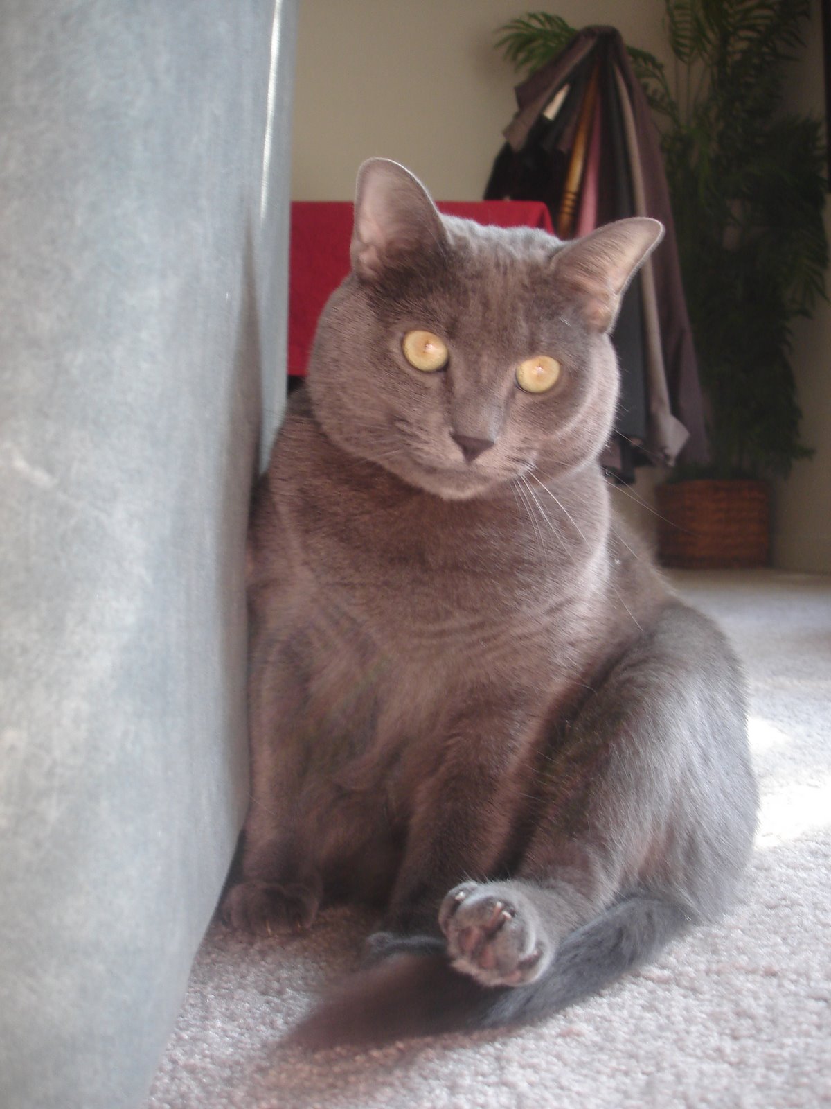 [DSC01267.JPG]