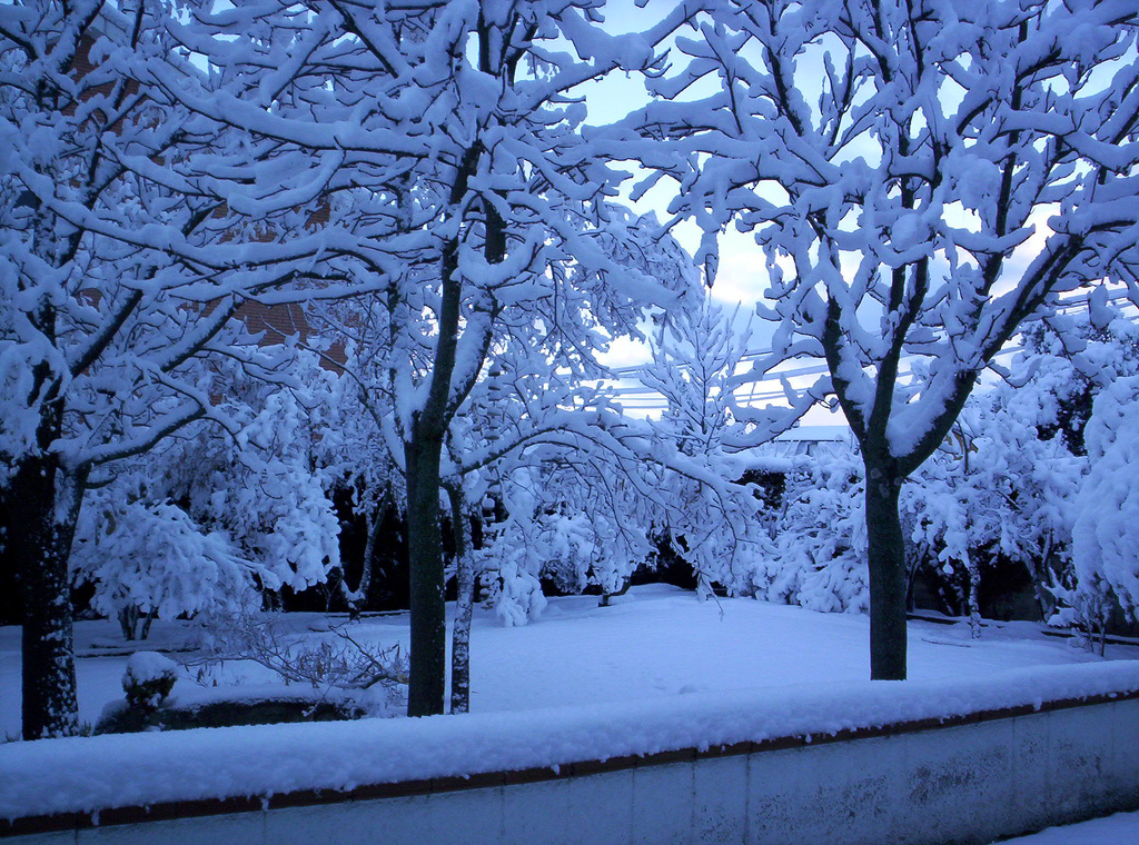Imágenes de paisajes de nieve - Imagui