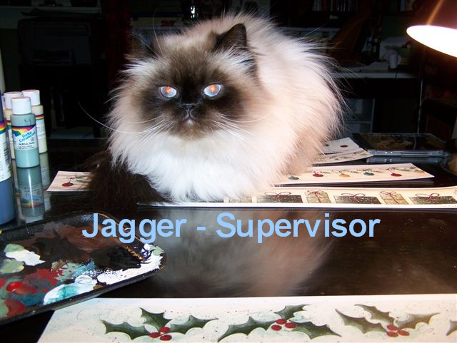 [Blog+Jill+Jagger+-+Supervisor.jpg]