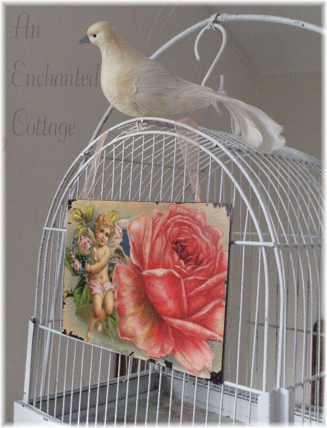 [dove+on+birdcage.jpg]