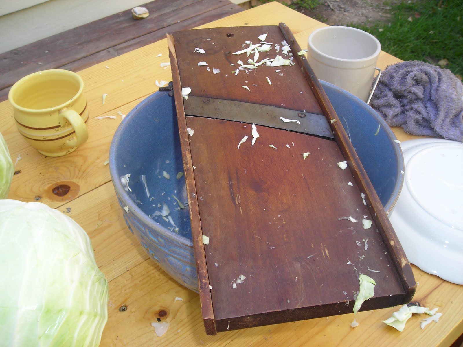 Sauerkraut Plain But Wholesome Adventures in Mormon Pioneer Food