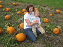 pumpkin patch