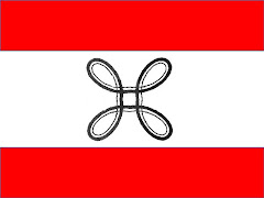 Flag of Xenostrov