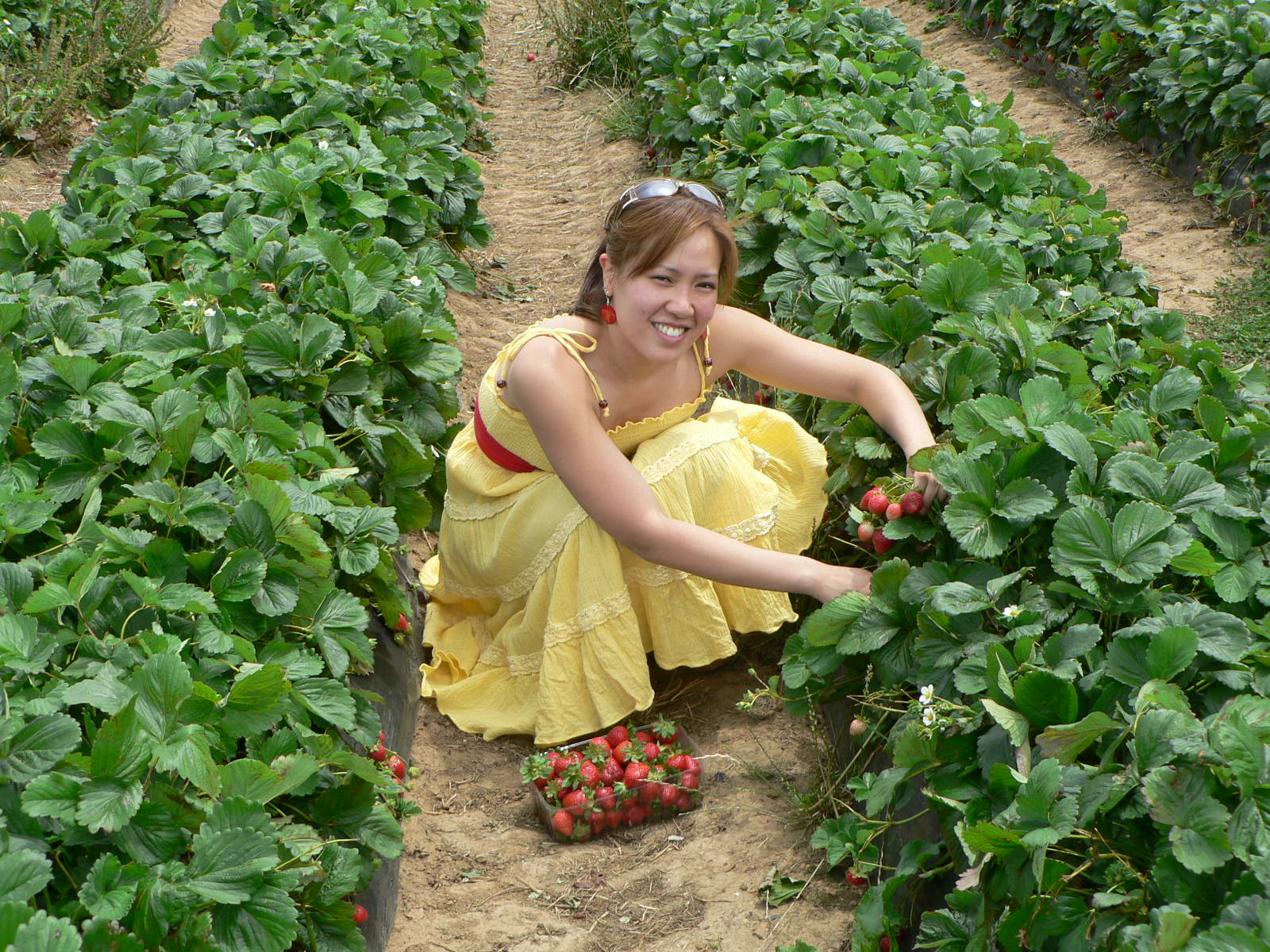 [200701+Strawberry+Farm-30.JPG]