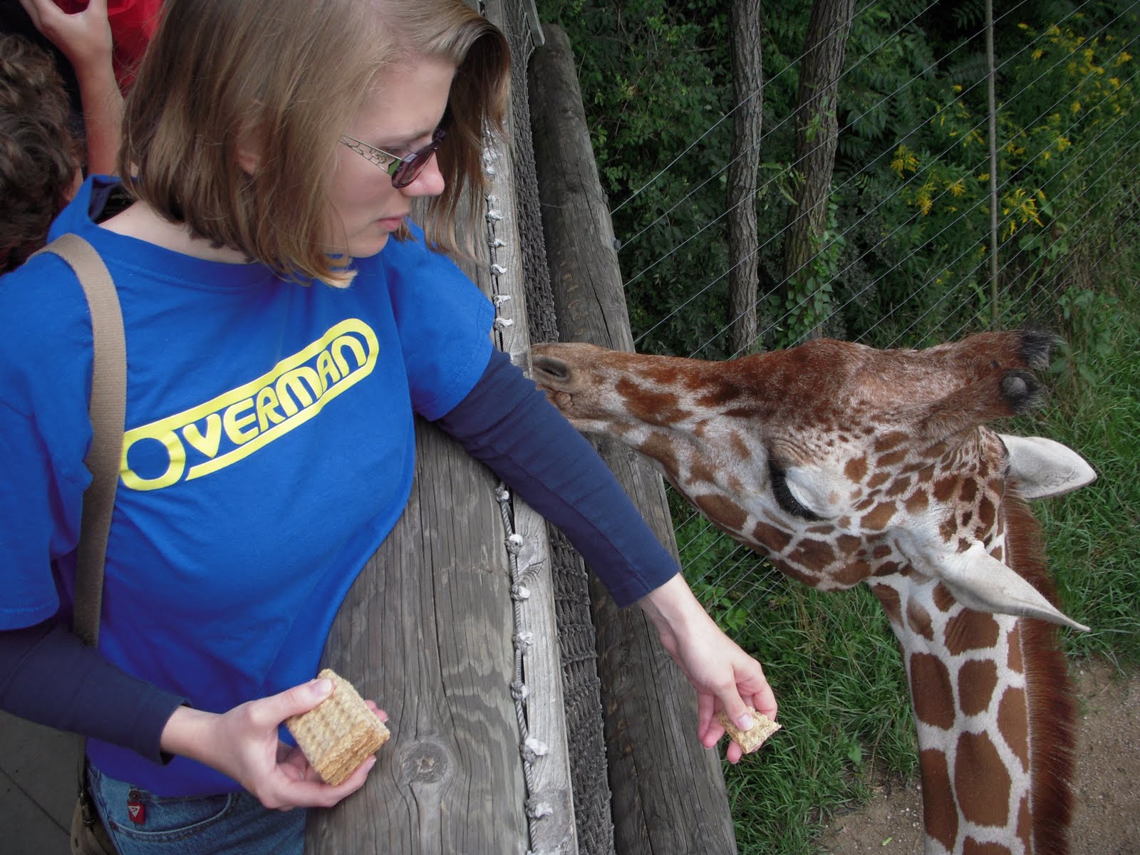 [OverGiraffe.jpg]
