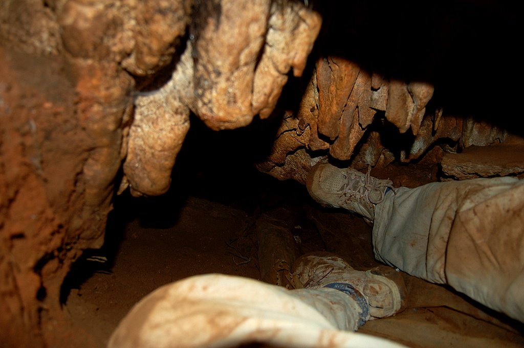 [DSC_7014.JPG]