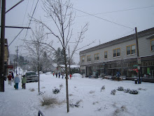 Hawthorne District on December 23, 2008