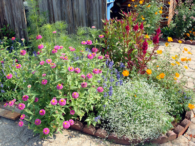 Flowers and Nature in my Garden: Flower Beds