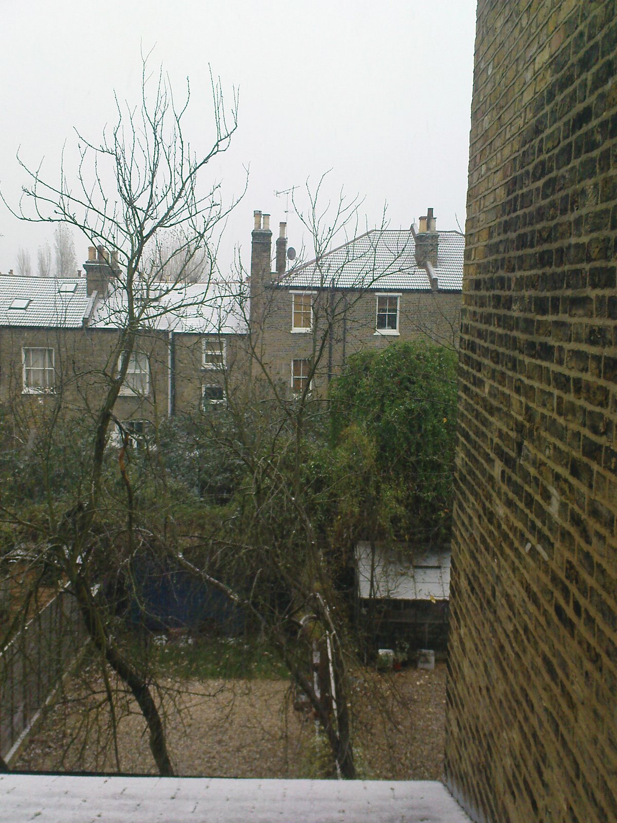 [DSC00264.JPG]