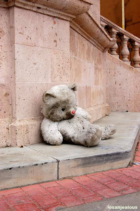 Down & Out Bear hits rock bottom