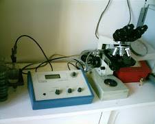 Laboratorio de ensayos