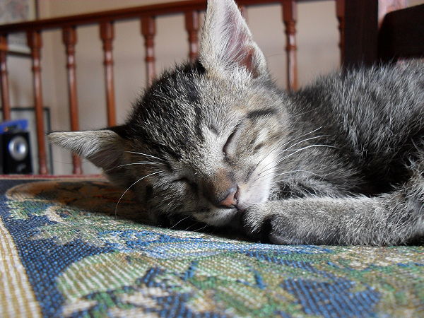 [20091101-rayitas5.jpg]