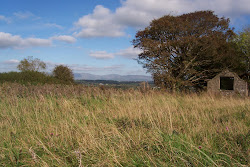 Fair Irish Skies