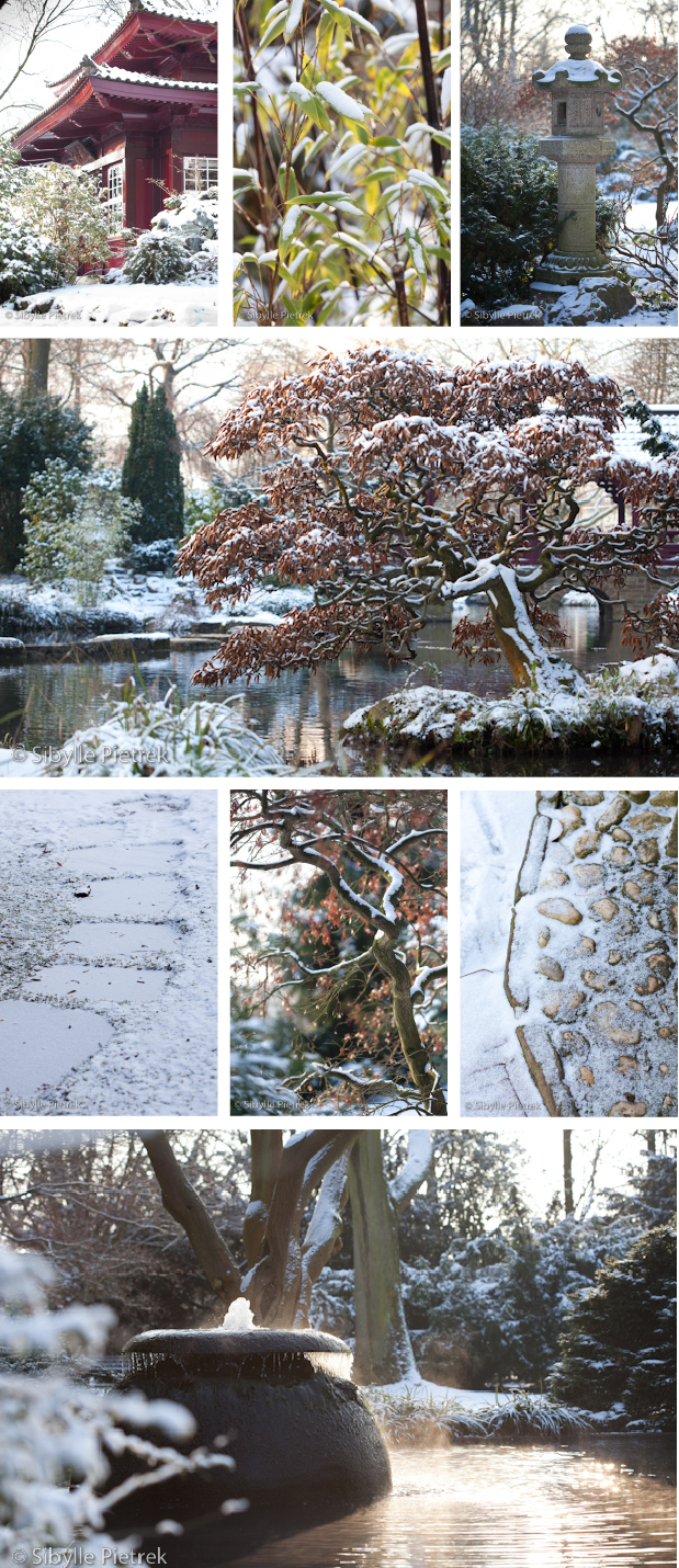 Gartenblick Gartenfotografie Japanischer Garten Im Schnee