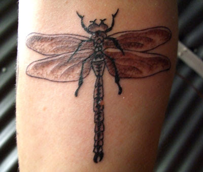 Dragonfly Tattoos 