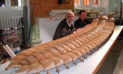 史前蜈蚣 -  2.6米的巨型史前蜈蚣