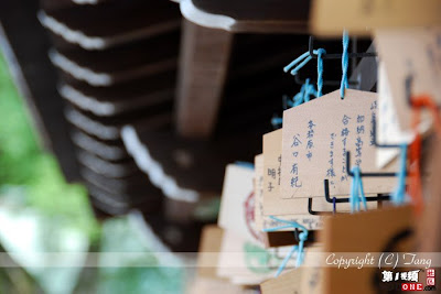 日本裸祭 傳統的日本國府宮神社裸祭