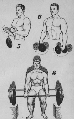 Belt lift: barbell system positioned according to the Anatoly