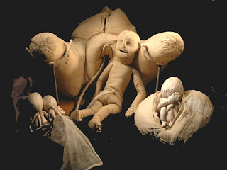 The King S Midwife Wonders Marvels