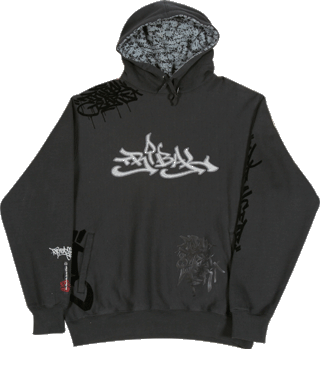[tri+hoody+1.gif]