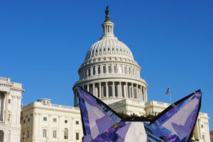 Bosty and the Washington Capitol by collage artist Megan Coyle