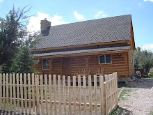 Dana's Pine Valley Cabin
