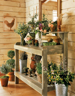 house of decor: Decorating with Potted Plants