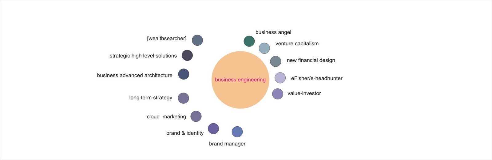 Business Engineer